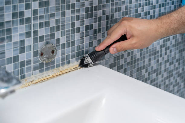 Best Office Mold Removal Services  in Penndel, PA