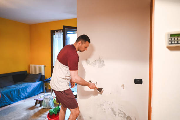 Best Mold Remediation  in Penndel, PA